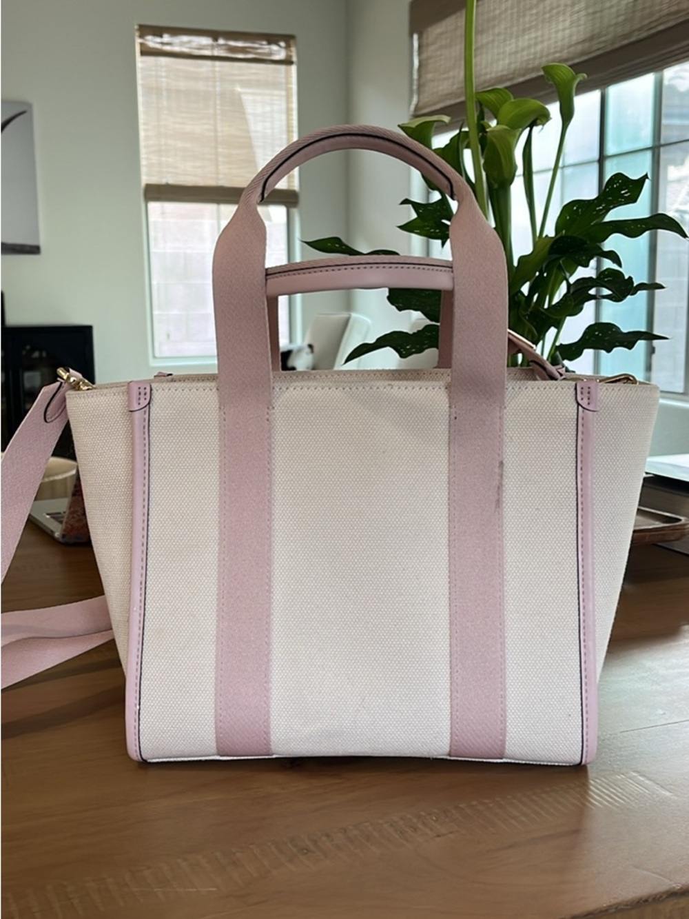 kate spade Pale Pink & Cream Canvas Tote - Picture 3 of 6